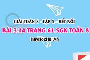Giải bài 3.14 trang 61 Toán 8 Tập 1 SGK Kết nối tri thức
